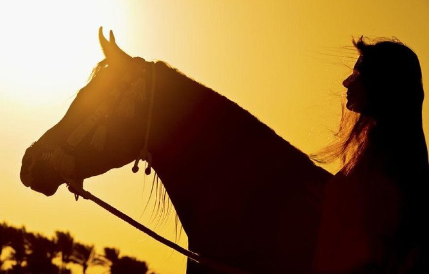 Private Horse Riding in Hurghada