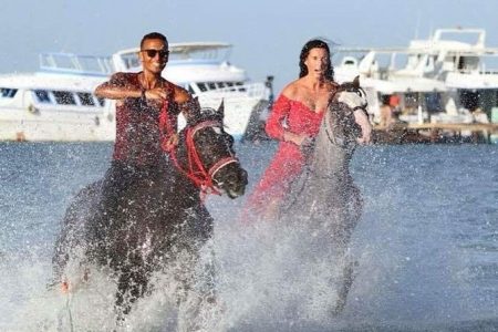 Horse Riding in Hurghada