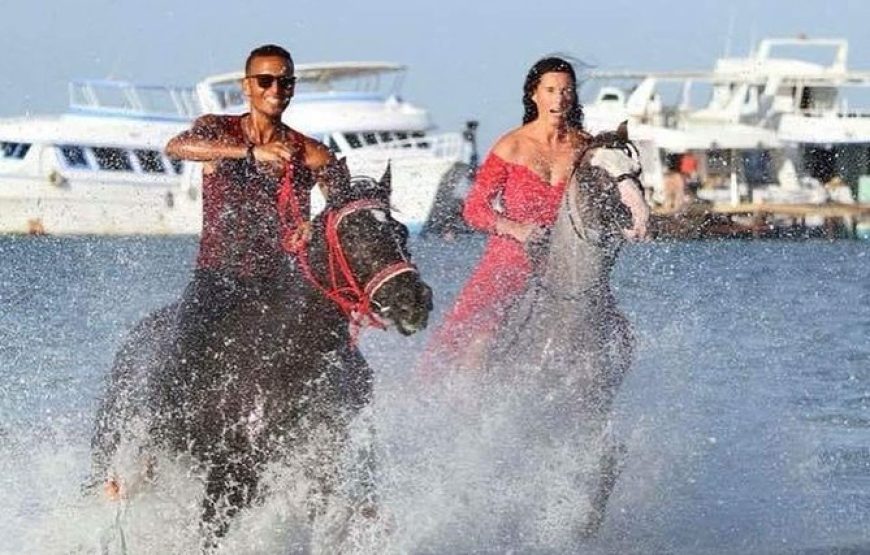 Private Horse Riding in Hurghada