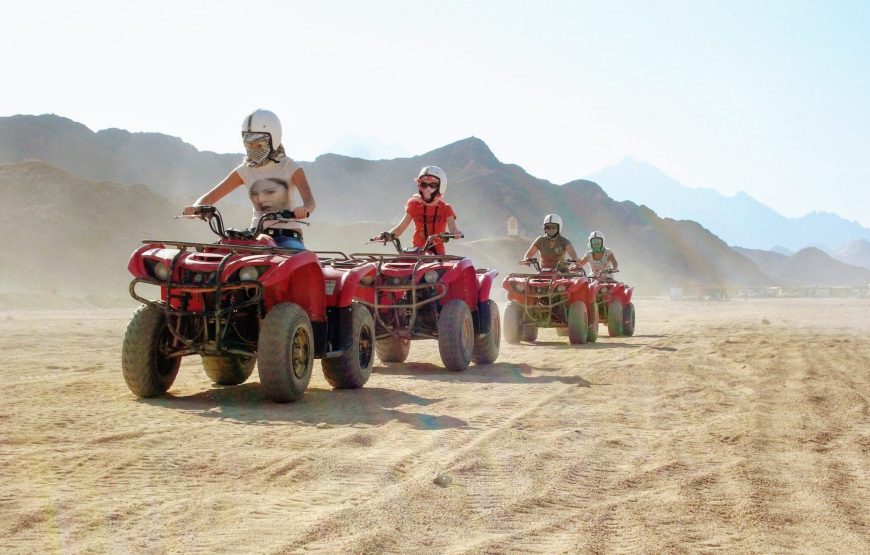 Safari Marsa Alam
