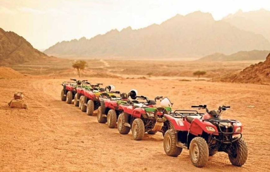 Safari Marsa Alam
