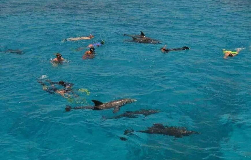 PRIVATE Speed Boat Trip in Hurghada