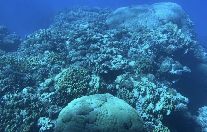 Sea Scope Submarine Adventure in Hurghada with Hurghada Top Tours