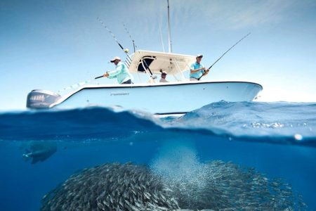 Discover the Hidden Wonders of the Red Sea with Hurghada Top Tours: Hurghada Mermaid Glass-Bottom Boat Tour