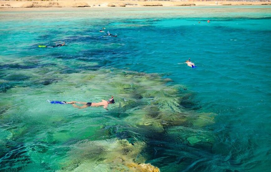 Diving