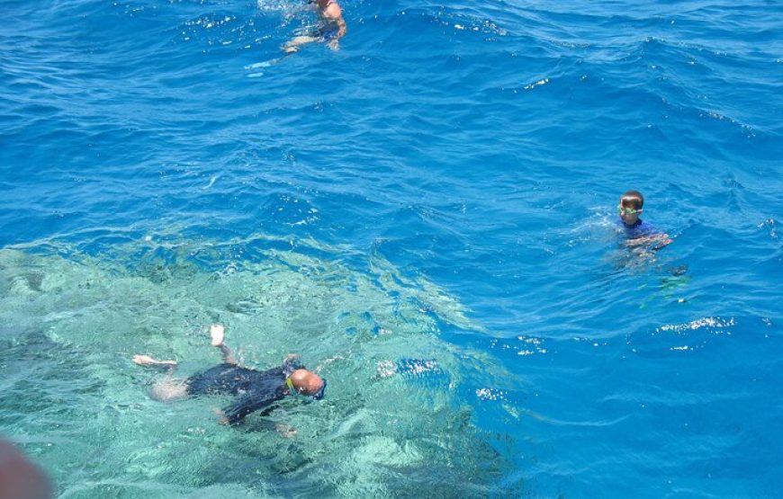 Diving