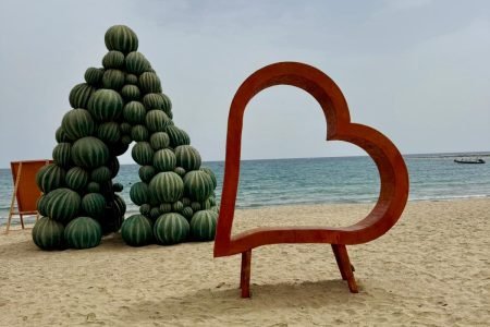 Abu Dabbab Beach Marsa Alam